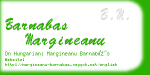 barnabas margineanu business card